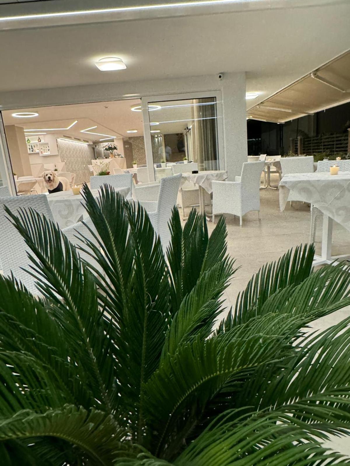 בלריה-איגאה מרינה Hotel San Domingo מראה חיצוני תמונה